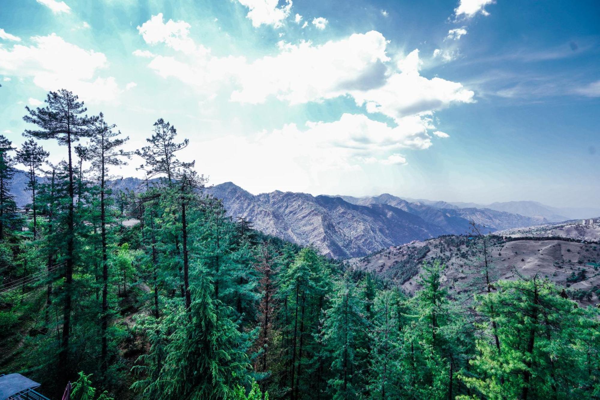 Aachman Nature Valley Resort Mashobra By Naina Staycation- Private Parking - Balcony And Valley View Rooms 심라 외부 사진